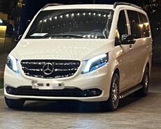 Mercedes Viano