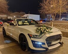 Mustang bey gelin masini