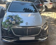 Maybach Sclass kiraye gelin masini